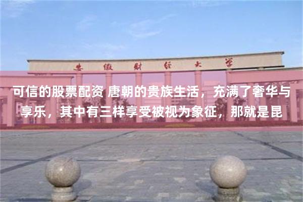 可信的股票配资 唐朝的贵族生活，充满了奢华与享乐，其中有三样享受被视为象征，那就是昆