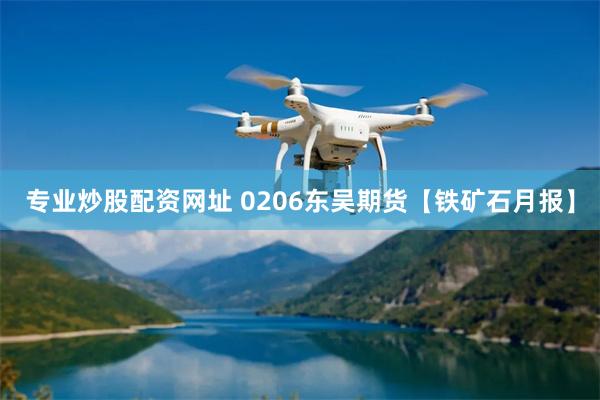 专业炒股配资网址 0206东吴期货【铁矿石月报】
