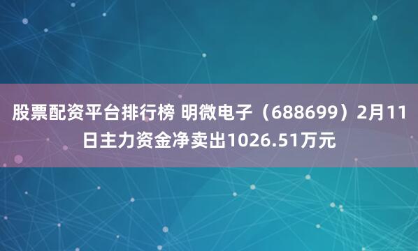 股票配资平台排行榜 明微电子（688699）2月11日主力资金净卖出1026.51万元