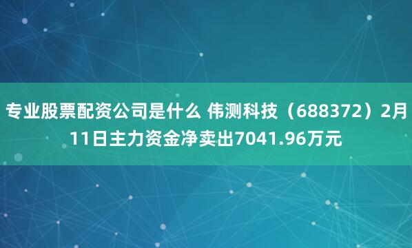 专业股票配资公司是什么 伟测科技（688372）2月11日主力资金净卖出7041.96万元