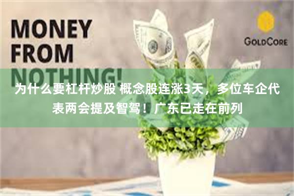为什么要杠杆炒股 概念股连涨3天，多位车企代表两会提及智驾！广东已走在前列