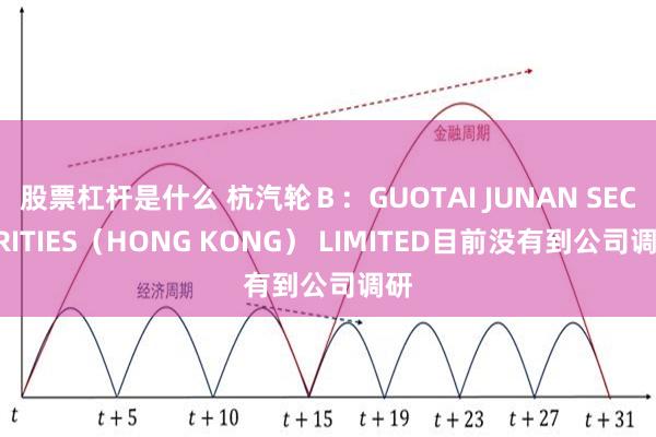 股票杠杆是什么 杭汽轮Ｂ：GUOTAI JUNAN SECURITIES（HONG KONG） LIMITED目前没有到公司调研