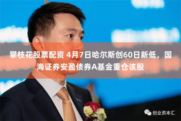 攀枝花股票配资 4月7日哈尔斯创60日新低，国海证券安盈债券A基金重仓该股