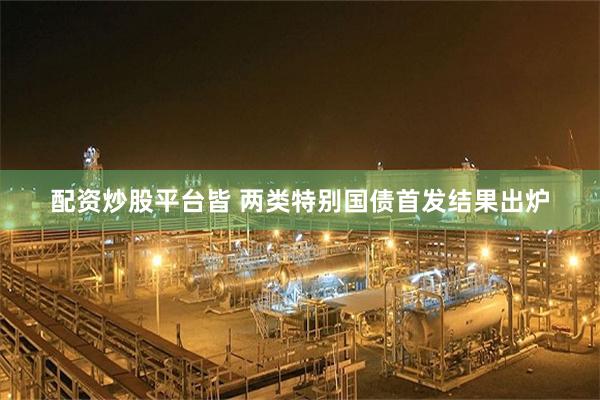 配资炒股平台皆 两类特别国债首发结果出炉