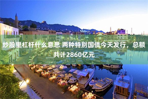 炒股里杠杆什么意思 两种特别国债今天发行，总额共计2860亿元