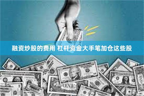 融资炒股的费用 杠杆资金大手笔加仓这些股
