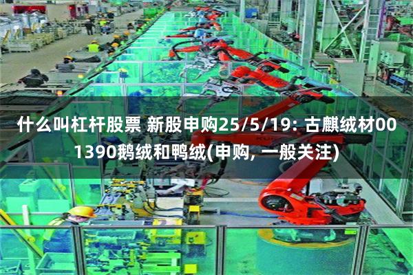 什么叫杠杆股票 新股申购25/5/19: 古麒绒材001390鹅绒和鸭绒(申购, 一般关注)