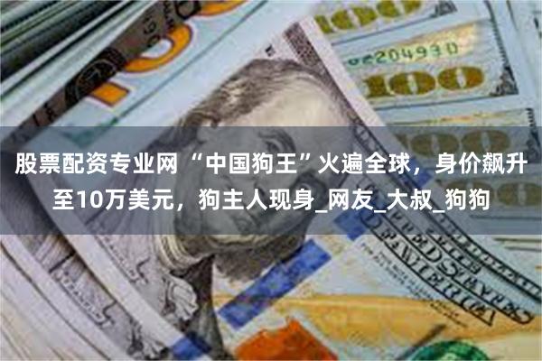 股票配资专业网 “中国狗王”火遍全球，身价飙升至10万美元，狗主人现身_网友_大叔_狗狗