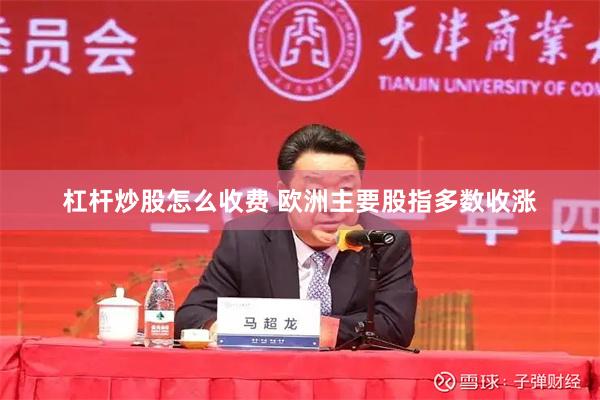 杠杆炒股怎么收费 欧洲主要股指多数收涨