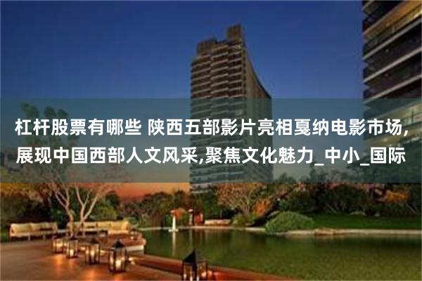 杠杆股票有哪些 陕西五部影片亮相戛纳电影市场,展现中国西部人文风采,聚焦文化魅力_中小_国际
