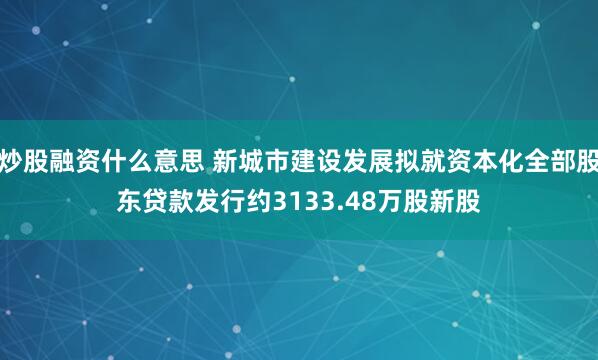 炒股融资什么意思 新城市建设发展拟就资本化全部股东贷款发行约3133.48万股新股