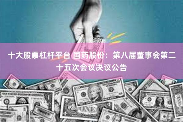 十大股票杠杆平台 国药股份：第八届董事会第二十五次会议决议公告