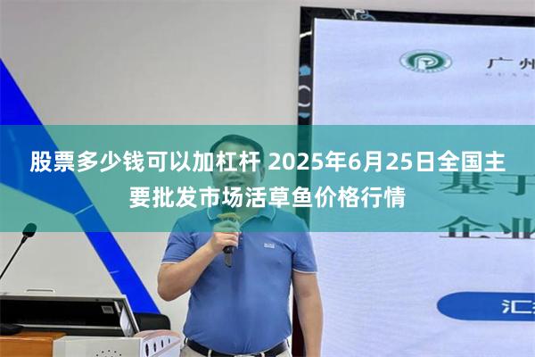 股票多少钱可以加杠杆 2025年6月25日全国主要批发市场活草鱼价格行情