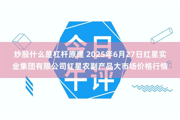 炒股什么是杠杆原理 2025年6月27日红星实业集团有限公司红星农副产品大市场价格行情