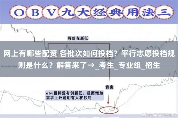 网上有哪些配资 各批次如何投档？平行志愿投档规则是什么？解答来了→_考生_专业组_招生