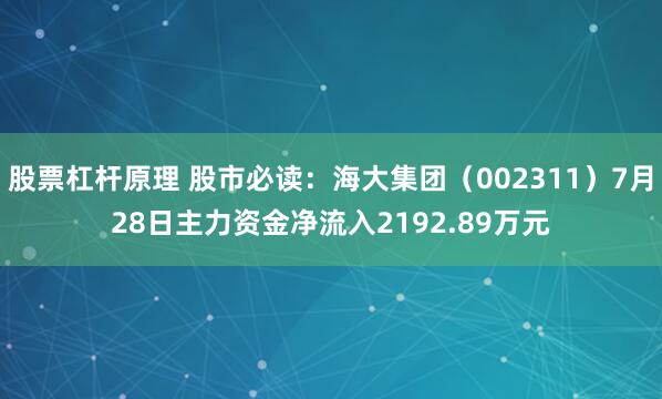 股票杠杆原理 股市必读：海大集团（002311）7月28日主力资金净流入2192.89万元