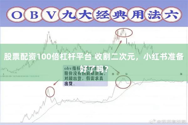 股票配资100倍杠杆平台 收割二次元，小红书准备好了吗？