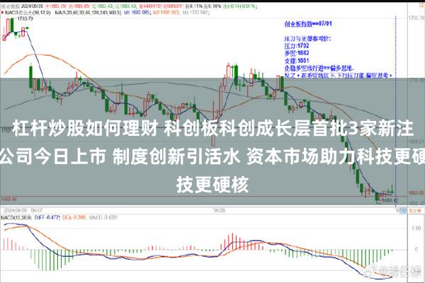 杠杆炒股如何理财 科创板科创成长层首批3家新注册公司今日上市 制度创新引活水 资本市场助力科技更硬核