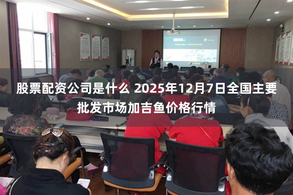 股票配资公司是什么 2025年12月7日全国主要批发市场加吉鱼价格行情