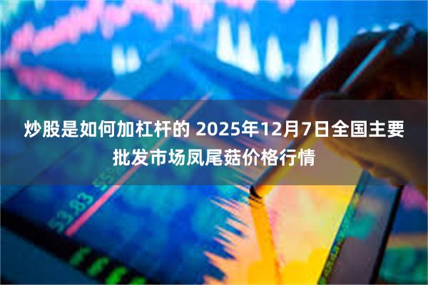 炒股是如何加杠杆的 2025年12月7日全国主要批发市场凤尾菇价格行情